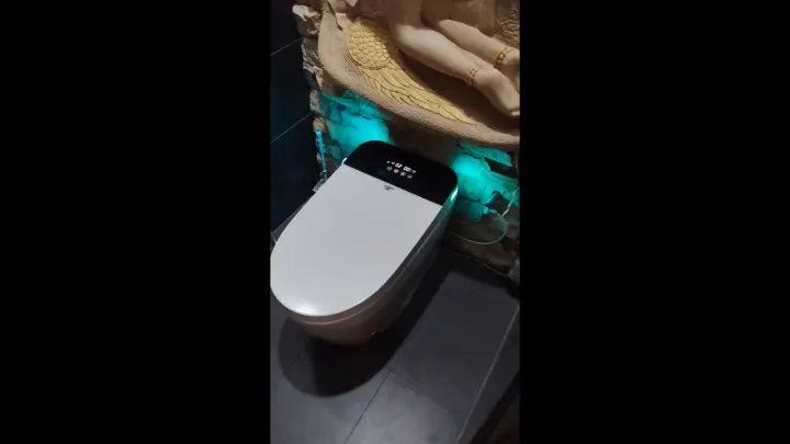 Smart Toilet Bowl, EngHong FULLY Automatic Toilet Bowl, FULL SPEC Electric Toilet Bowl, Auto Toilet Bowl 智能马桶