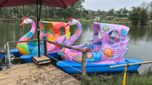 Thiên nga đạp nước composite loại vẽ 3D 0902111196