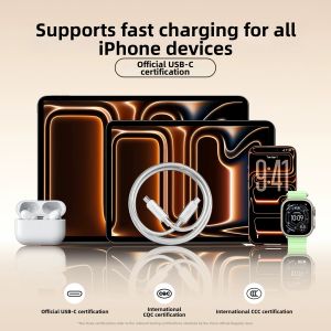PISEN | Fast Charging and Data Transfer Cable Dual Type-C