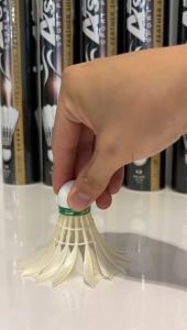 Badminton Shuttlecock | Shuttlecocks | Astar | 12pcs per tube | Bulu Tangkis | Training | Beginner