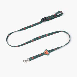 YCQPET | Adjustable Neck Collar Tether