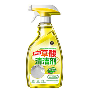 JIAKEMEI | Powerful Stain Remover Cleaning Agent