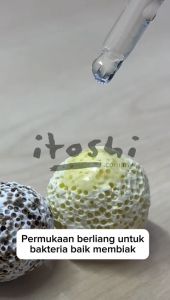 ITOSHI 3KG Mix Porous Bio Ball 2 In 1 Bacteria House Aquarium Bio Media Golden Fish KOI