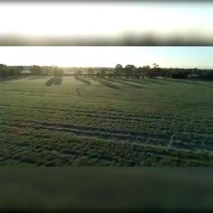 BARLEY GRASS POWDER Original Organic And Pure Matcha Powder Lose Weight Body Detox Diet