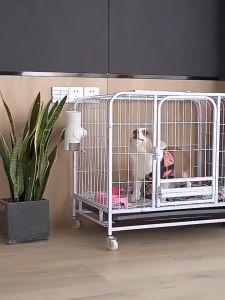 Chuồng Chó Chuồng Nuôi Chó Nhà Cho Mèo Dày Lên Dày Hơn Bền Bỉ Và Chống Rỉ Sét Có Phòng Tắm Riêng Có Thể Sử Dụng Cả Trong Nhà Và Ngoài Trời