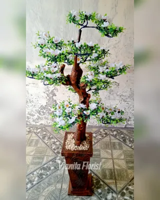 Tanaman hias Semanggi sakura 140 cm || Bunga hias sudut ruangan