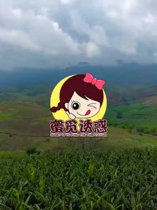 Crispy Banana Chips Dry Baked Dried Fruit 500g (Imported Snacks)