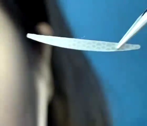 MSB Eyelid Sticker  / Sticker Kelopak Mata