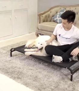 เตียงสัตว์เลี้ยง รับน้ำหนัก85kg ระบายอากาศ ป้องกันความชื้น ป้องกันการกดทับ เตียงสุนัข ผ้าตาข่าย