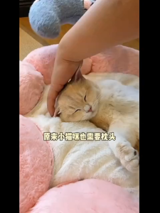 Cat Special Mini Pillow Pet Dog/Cat Sleeping Pillow Mat Cat Blanket Soft Pillow Pet Supplies