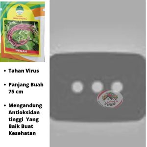 Benih Bibit Kacang Panjang Merah Ungu Tahan Virus MEGAN 150 biji Cap Kujang