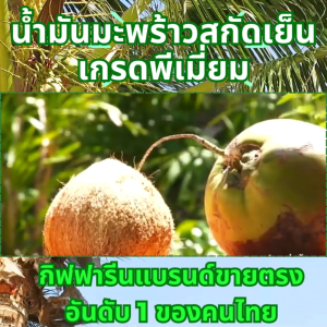 กิฟฟารีน น้ำมันมะพร้าว giffarine โคโคนัท ออยล์ Coconut Oil มะพร้าวสกัดเย็น มะพร้าวออร์แก บริสุทธิ์ ความดัน ดูแลสุขภาพแบบครบจบในขวดเดียว ของแท้ ส่งฟรี