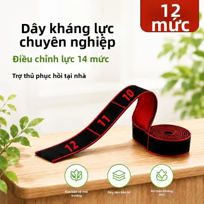 SDKH | Dây Đàn Hồi Tập Cơ Phục Hồi Chức Năng Chân cho Người Cao Tuổi