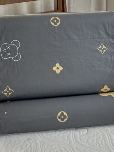 Áo Gối Cao Su Cotton Nguyên Chất 100% Cho Trẻ Em Và Người Lớn 40x60 Hình Vuông Có Khóa Kéo Mùa Hè 2022 Phong Cách Trung Hoa