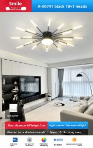 Smile | Luxurious Simple Modern Nordic Style Ceiling Light