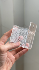 Box Trùng Chỉ Mini – Nuôi Trùng Côn Trùng Sống Cho Cá Ăn - T01TS - RED DIY