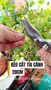 Kéo Cắt Tỉa Cành Cây Lưỡi Cong Dài 20Cm Có Lò Xo
