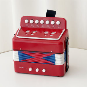 Educational & Developmental Toy Accordion
