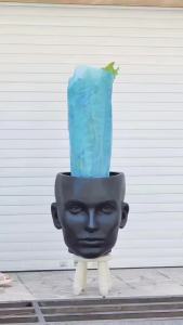 เฟิร์นข้าหลวง เฟิน ข้าหลวง หลังลาย ต้นเฟิร์น เฟิร์นรังนก ไม้มงคล