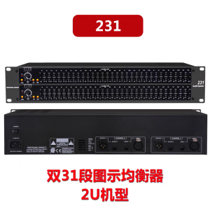 Professional 231 Equalizer High Quality Two Channel Dual 31 Segment Audio Processor for Home Stage Bar Performances