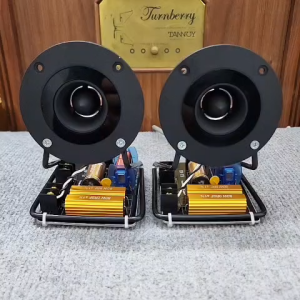 Loa Siêu Tép Ghép Ngoài Pioneerr A500P Lắp Phân Tần Xịn EWT8