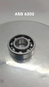 Laker Bearing 6202 ASB Bearing Mesin Jet Pump INB Original ASB