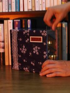 Japanese Retro DIY Wooden Book Nook Shelf Insert Miniature Building Kits Sakura Alley Home Bookend Decor Adult Handmade Gifts