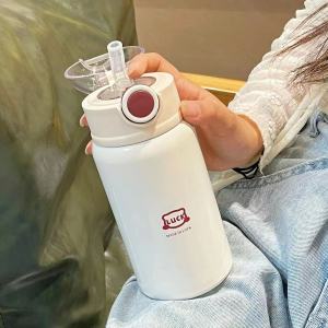 Ins Minimal Insulated Water Bottle