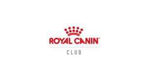 Royal Canin 4kg Original Cat Dry Food Makanan Kucing Hair & Skin RC Kitten Fit Urinary Mochapets