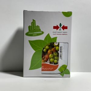 Benih Tomat SERVO F1 Isi 60 Butir Cap Panah Merah