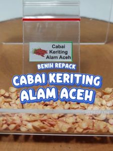 Benih Cabai Keriting Alam Aceh Unggulan Berkualitas