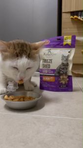 ขนมหมาสุนัข ฟรีซดาย (treat)