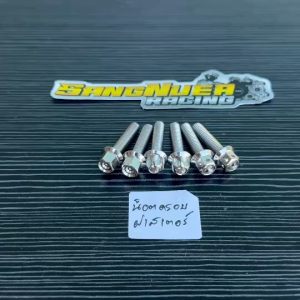 น็อตครอบฝาสเตอร์หน้า2ตัว เวฟดรีม เลสแท้