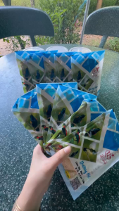 (combo 10 gói) Cám dưỡng hot Lê Thịnh chính hãng dành cho chim hút mật gói 100gr