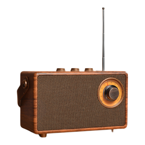 Domars | Wooden Bluetooth Speaker with TF Card USB Support Radio and Call Functions