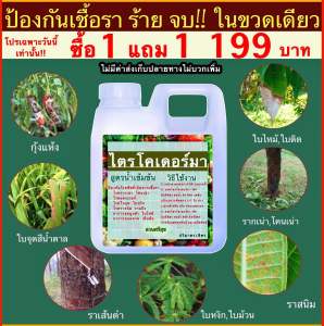 ไตรโครเดอร์มา(ผสมสารจับใบแล้ว) 1 แถม 1