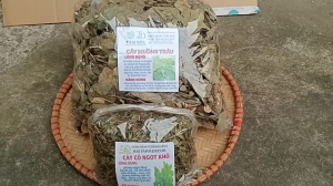 100g cây muồng trâu sấy khô TẶNG 50G CỎ NGỌT