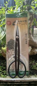 Gunting pruning bonsai msw55