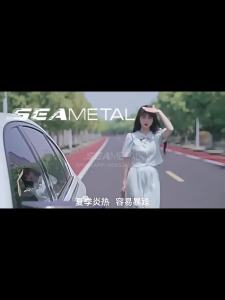 SEAMETAL Car Sun Shade Windshield Umbrella Auto Front Window Sunshade Parasol Foldable Summer UV Blocking Sun Protection Cover