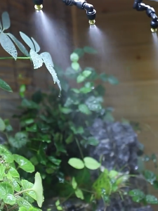 Terrarium Paludarium Aquarium Auto Rain Forest Spray System Timer Plant Misting