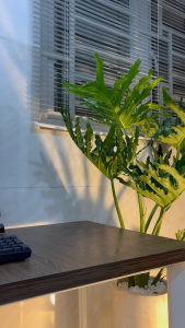 ĐÈN BÀN /ĐÈN NGỦ ANNE (Tặng sẵn bóng led)
