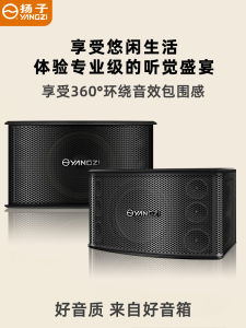 Yangzi KTV Audio For Home Card Bag Loudspeaker Amplifier Family Karaoke Suit Professional Stage Conference VOD Full Set