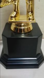 Universal Fisherman Plastic Gold Trophy Height 19cm (223)( Customize Available )