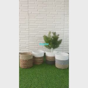 Tanaman Hias Daun Pinus Cemara Tangkai X4 Latex Artificial Cover Pot Seagrass Variasi Pajangan Dekorasi Ruangan