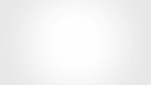 Shark PX200SMT | PX200 StainStriker Stain & Spot Vacuum Cleaner