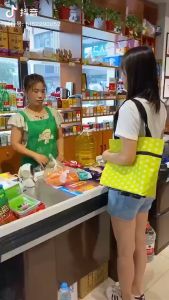 TAS TROLI BELANJA LIPAT RODA SERBAGUNA - TROLLY TROLY SHOPPING BAG