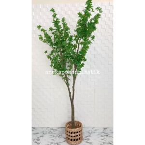 Tanaman Imitasi Pohon Hias Daun Semanggi Aesthetic