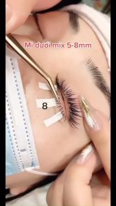 Mi Dưới Mix _ Độ Cong B J_ Hộp Nối Mi Dưới_Mi Khay ACB 1h Mix Size 5-8mm _Phụ Liệu Mi ACB Phát
