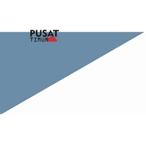 Anting Tusuk Stainless Mata Berlian Alina Tahan Karat Model Elegan Cantik | PUSAT TIMUR