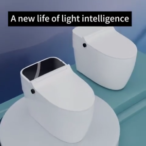 Power-Free Smart Toilet Integrated Tank Stable Flush For Any Water Pressure